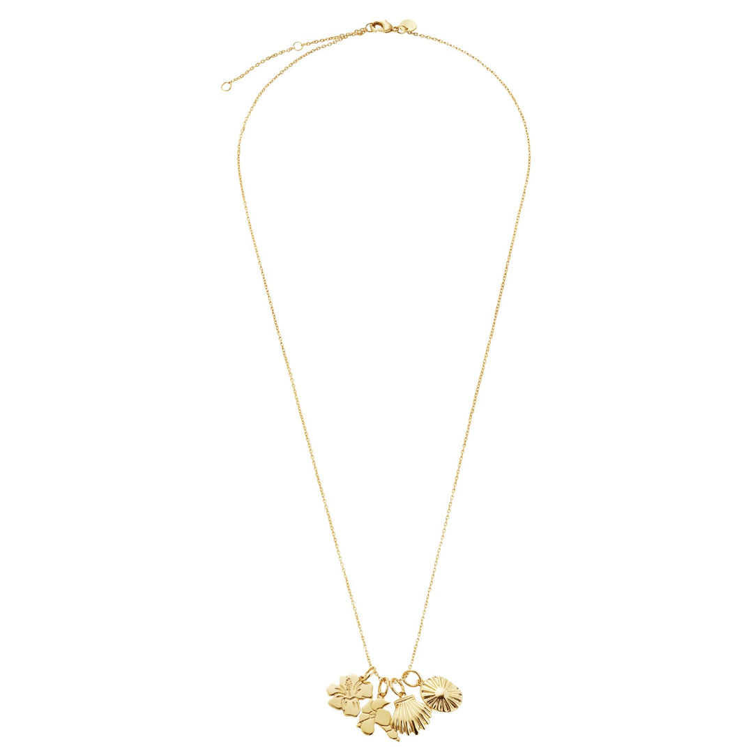 Sunrise Shell Necklace