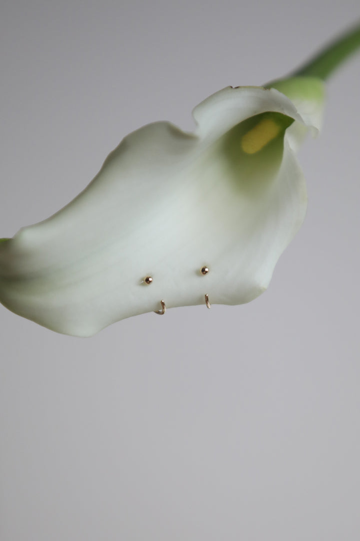 Dot Claw Stud